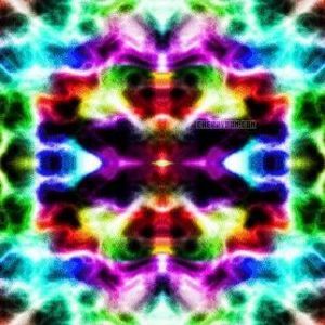 Meet your Posher, Regina